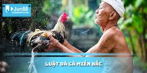 Luật đá gà miền Bắc
