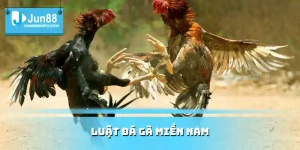 Luật đá gà miền Nam