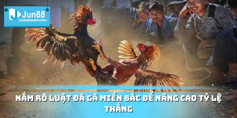 Nắm rõ luật đá gà miền Bắc để nâng cao tỷ lệ thắng
